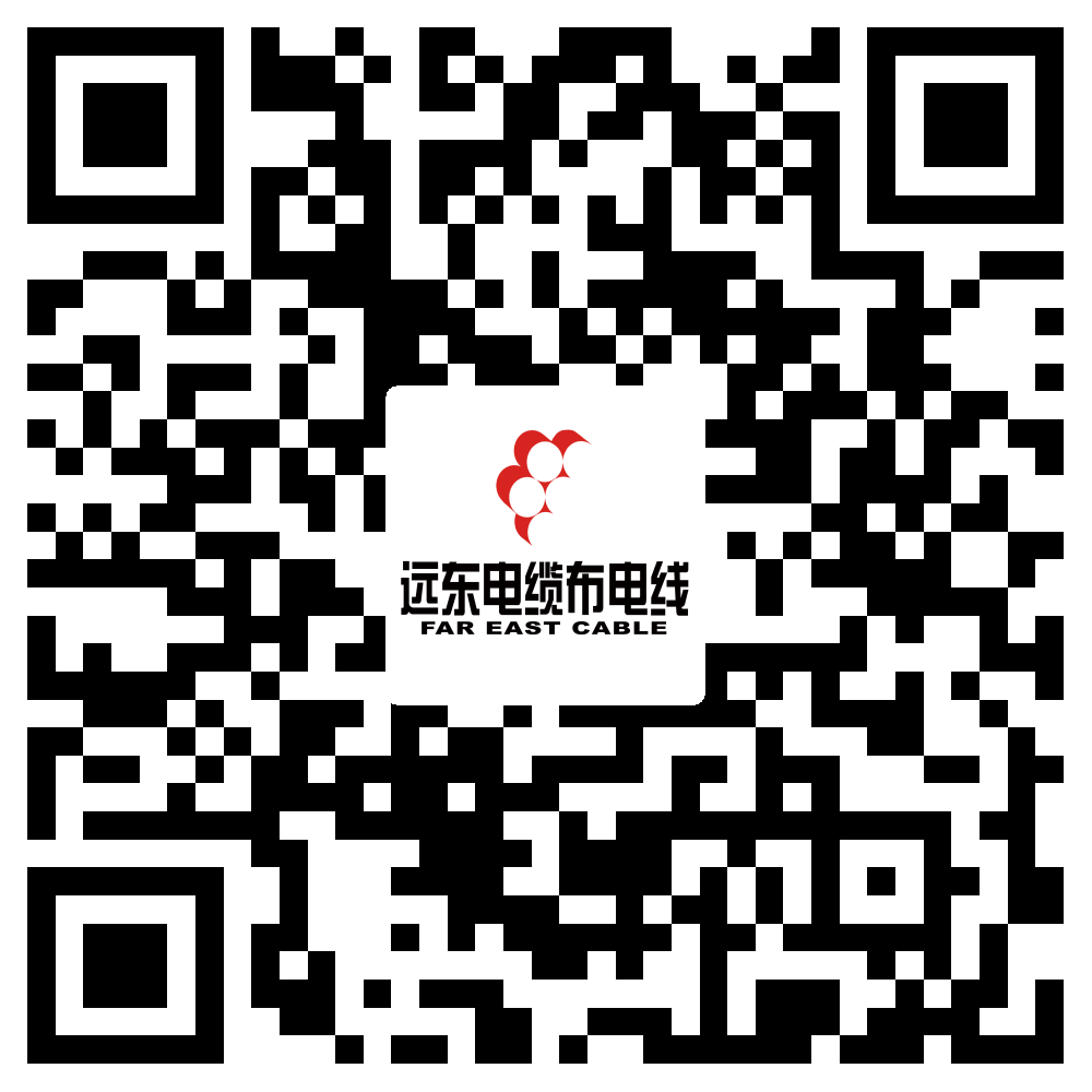 遠東電線(xiàn)電纜